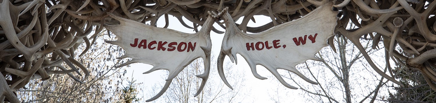 Town Square Antlers