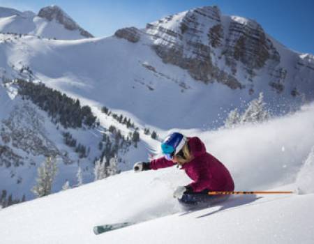 Top 10 of our Favorite Jackson Hole Activities