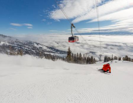 Spring into March at Jackson Hole