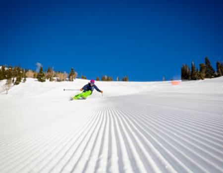 Spring in Jackson Hole 