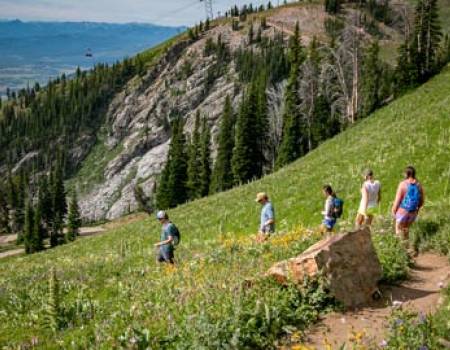 Hiking Guide to Jackson Hole