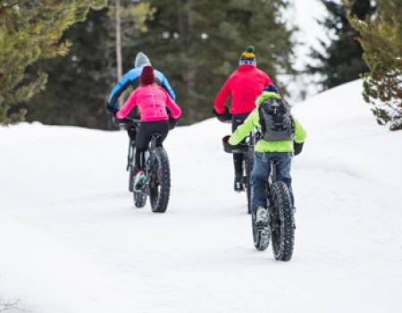 Fat Biking In Jackson Hole